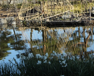 白鳥庭園