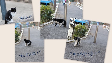 ��󥳤��褿��