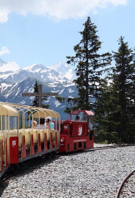 Panoramic Train