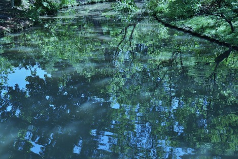 水面