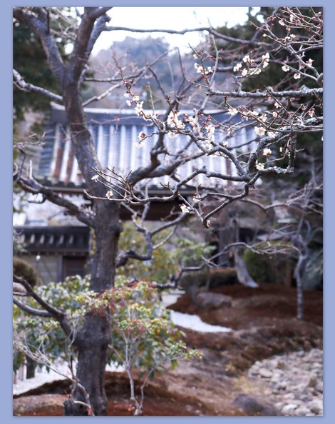 浄妙寺