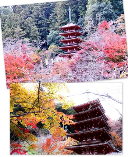 長谷寺