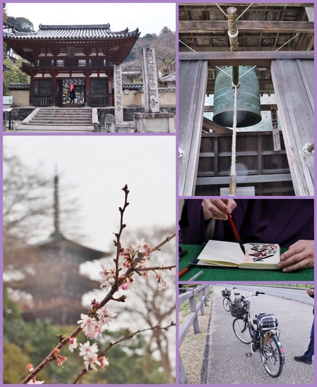 岡寺
