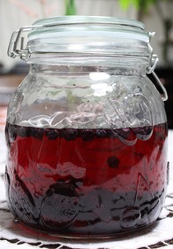 ブルーベリー酒-1