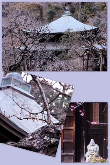 瑞泉寺 2022.2.22