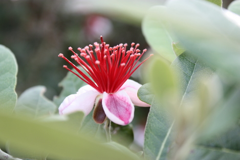 �ե������祢