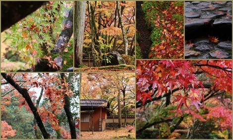 西芳寺