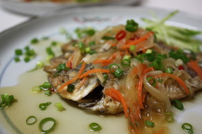 �������������Ȥ�