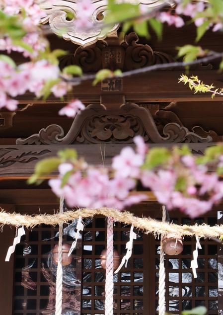 吾妻神社