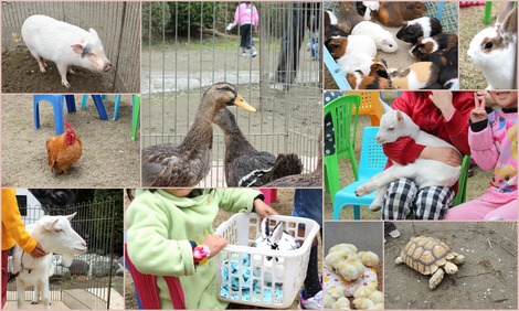 移動動物園