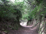 道