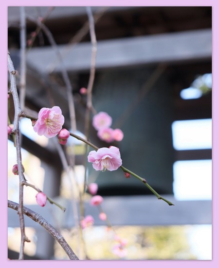 常立寺