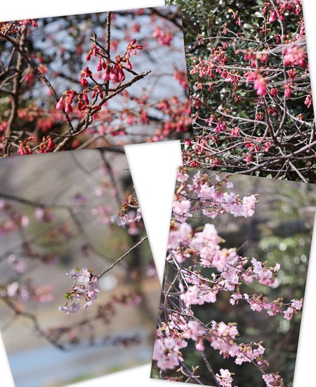 三ツ池公園