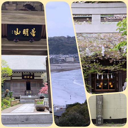 collage-2