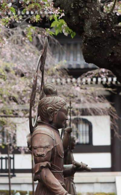 長谷寺