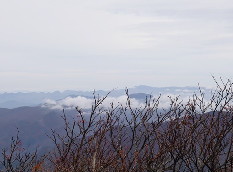 三宝荒神山山頂