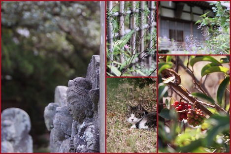 円覚寺 2021.10.18