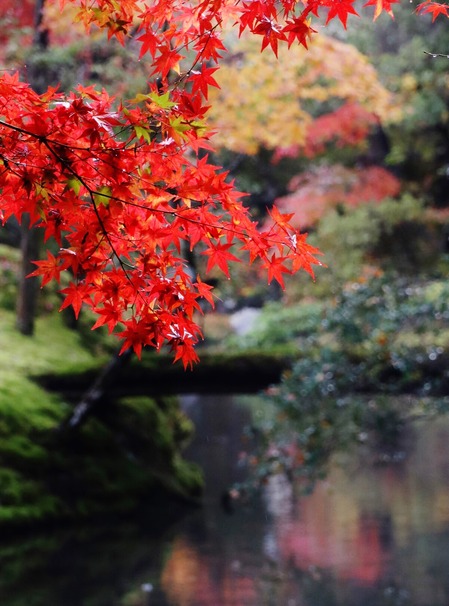 西芳寺