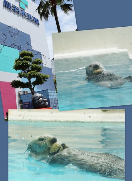 鳥羽水族館