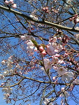 ������-2