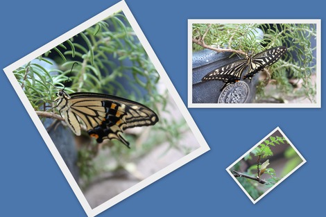 ���顼����