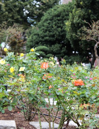 »³¼ê¤Î¥Ð¥é