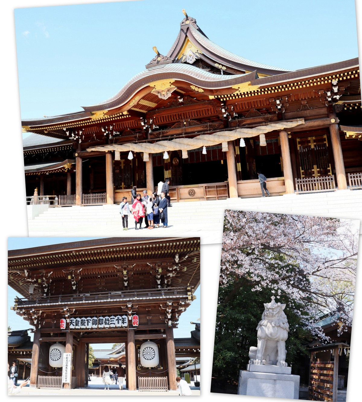 飛び出せ Kitchen 寒川神社 Livedoor Blog ブログ 飛び出せ Kitchen 寒川神社 Livedoor Blog ブログ