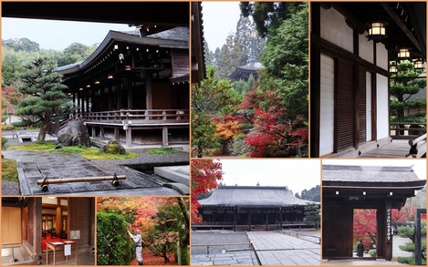 西芳寺