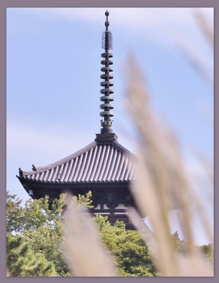 三渓園 2024.10.11