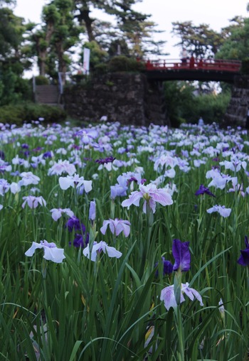 小田原城