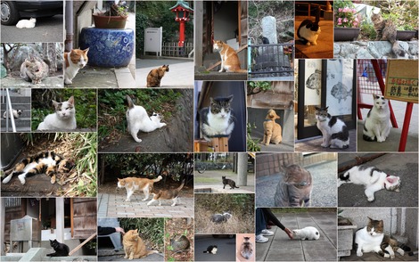 ������Τͤ�����