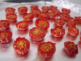 Semi-Dryed Tomatos