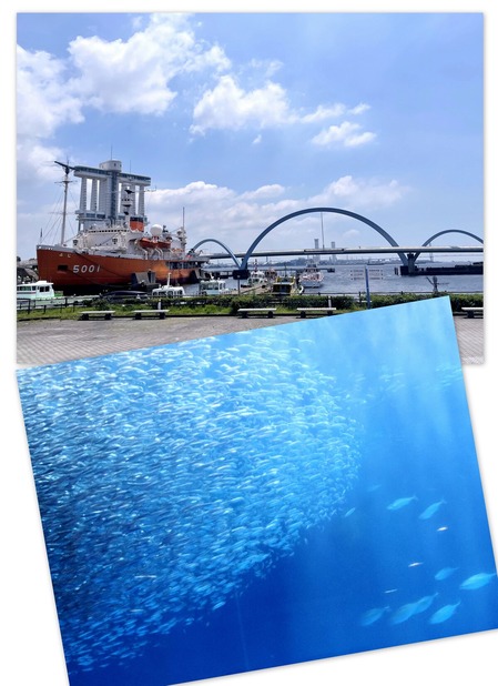名古屋港水族館