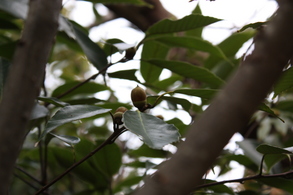 �ɤ󤰤����