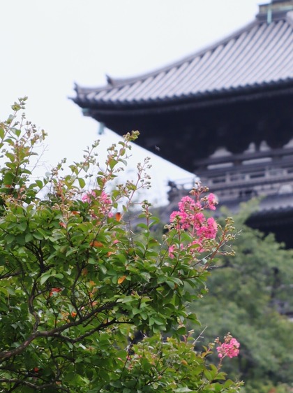 三渓園