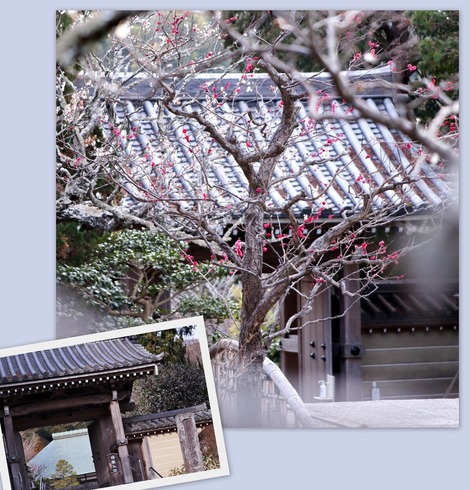 浄明寺