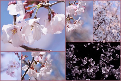 �����κ�