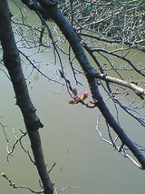 ������-1