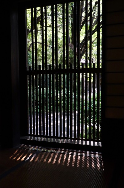 Shadow