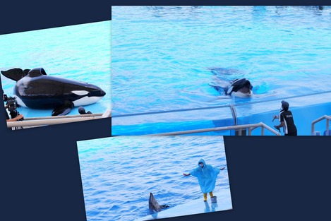 名古屋港水族館