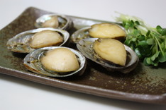 �Ȥ��֤��Ƥ�