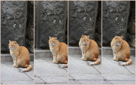 見てたものは?