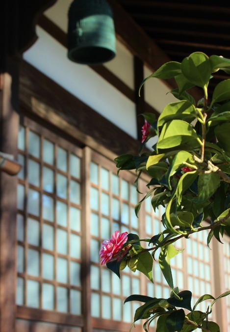浄妙寺