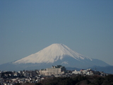 Mt.Fuji