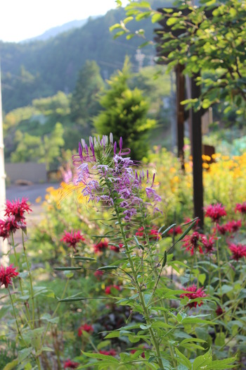 花園