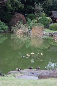 �������