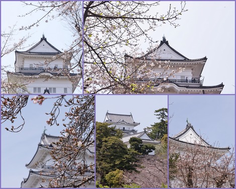 小田原城
