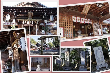 高知八幡宮 2016.12