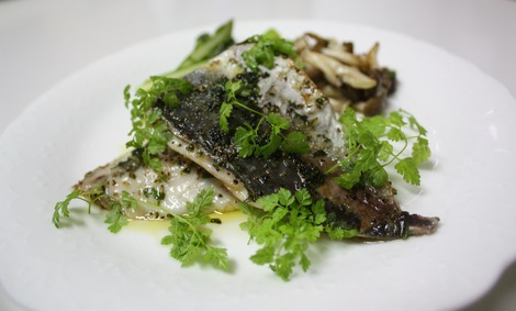 ���Υϡ��֡�������Ƥ�