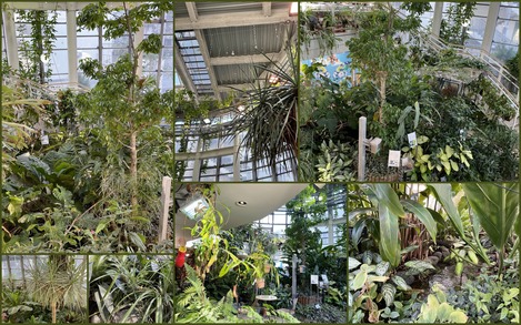 渋谷ふれあい植物センター